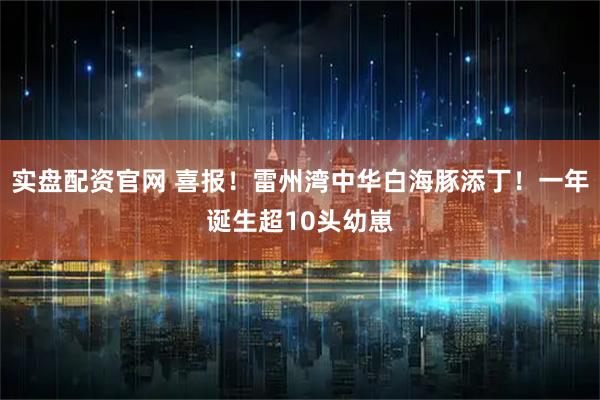 实盘配资官网 喜报！雷州湾中华白海豚添丁！一年诞生超10头幼崽